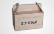 纸箱系列八