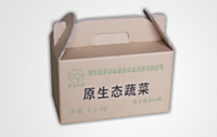纸箱系列八